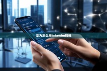 华为手机用户如何使用TokenPocket钱包进行数字资产管理
