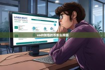 USDT钱包中的币丢失了？手把手教你如何找回！