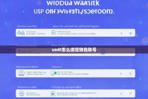 USDT怎么绑定钱包账号？详细教程指南